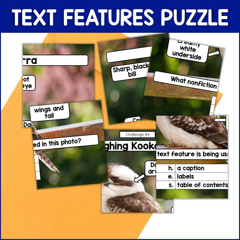 nonfiction text features puzzle